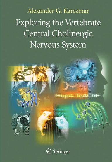 bokomslag Exploring the Vertebrate Central Cholinergic Nervous System