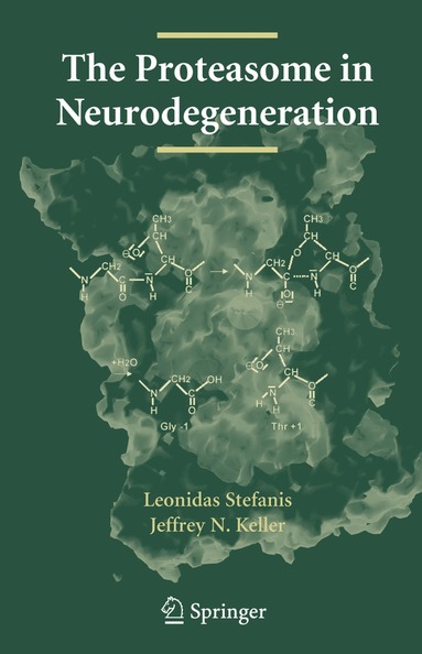 bokomslag Proteasome in Neurodegeneration