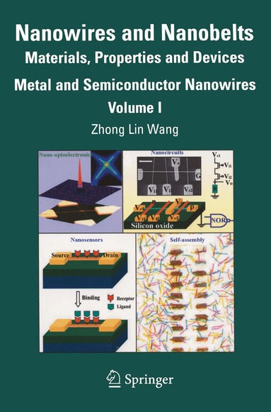 Zhong Lin Wang - Nanowires and Nanobelts, Häftad