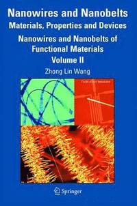 bokomslag Nanowires and Nanobelts: Materials, Properties and Devices