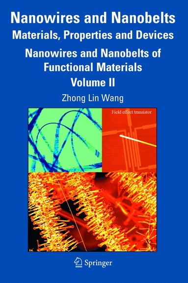 Z. L. Wang, Zhong Lin Wang - Nanowires and Nanobelts: Materials, Properties and Devices, Häftad