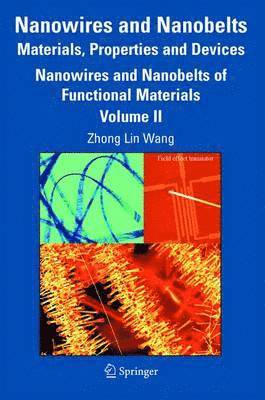 Nanowires and Nanobelts: Materials, Properties and Devices 1