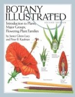 bokomslag Botany Illustrated