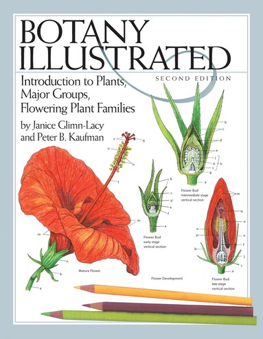 bokomslag Botany Illustrated