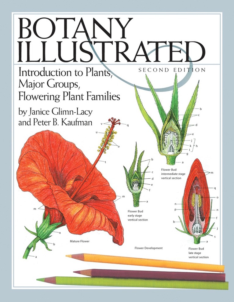 Janice Glimn-Lacy, Peter B. Kaufman, Peter B Kaufman - Botany Illustrated, Häftad