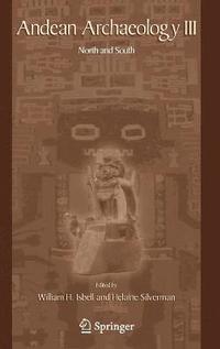 bokomslag Andean Archaeology III