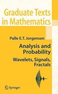 bokomslag Analysis and Probability