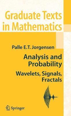 bokomslag Analysis and Probability