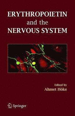 Erythropoietin and the Nervous System 1