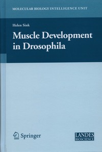bokomslag Muscle Development in Drosophilia