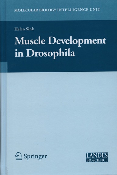 bokomslag Muscle Development in Drosophilia