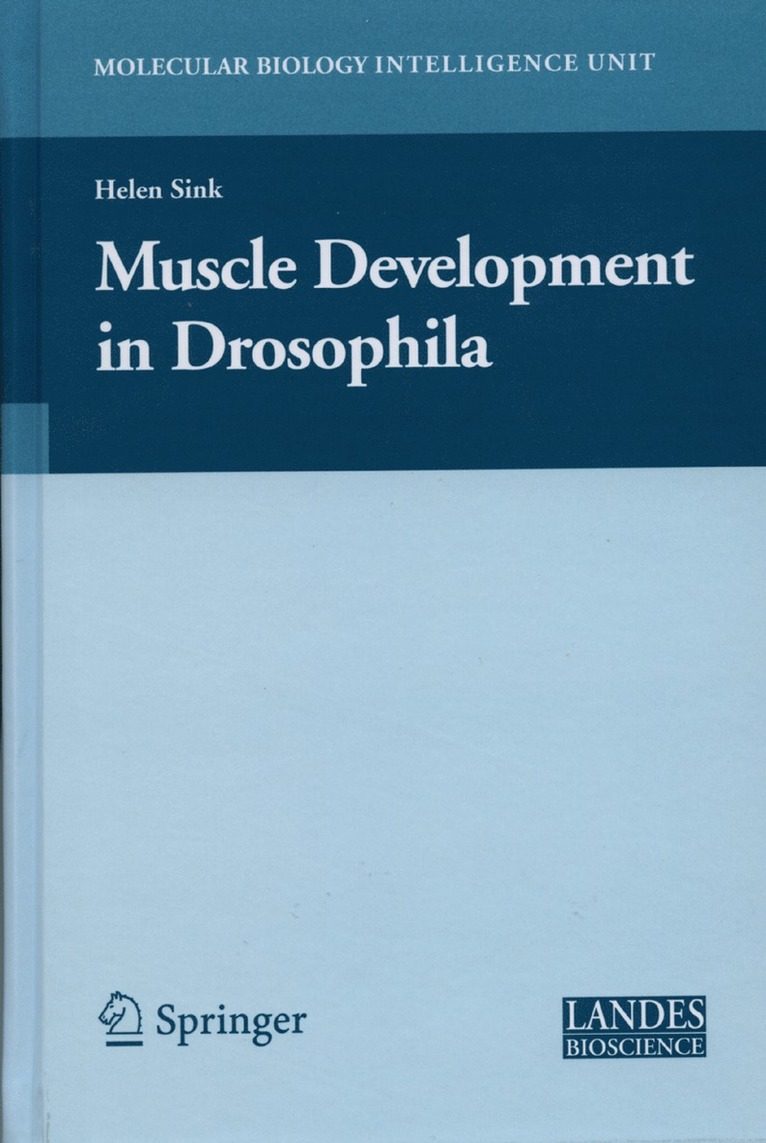 Muscle Development in Drosophilia 1