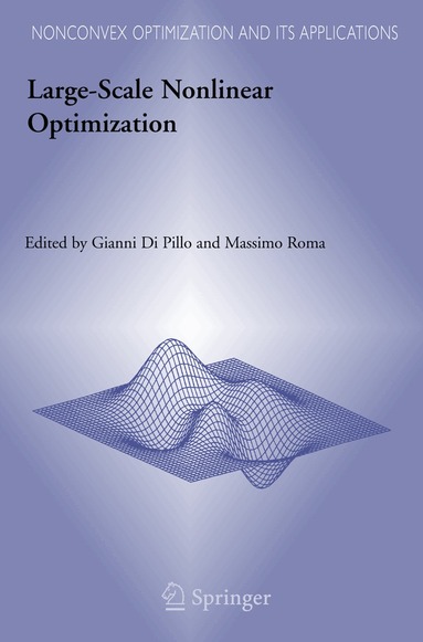 Gianni Pillo, Massimo Roma - Large-Scale Nonlinear Optimization, Inbunden