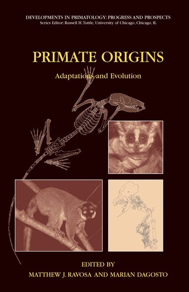 Matthew J. Ravosa, Marian Dagosto - Primate Origins: Adaptations and Evolution, Inbunden