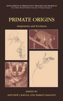 bokomslag Primate Origins: Adaptations and Evolution