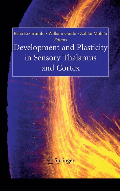 bokomslag Development and Plasticity in Sensory Thalamus and Cortex