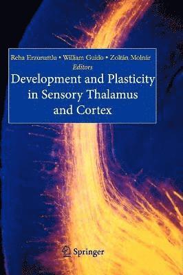 Development and Plasticity in Sensory Thalamus and Cortex 1