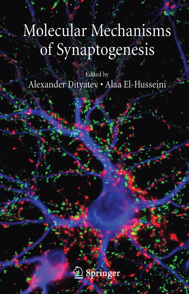 Alexander Dityatev, Alaa El-Husseini - Molecular Mechanisms of Synaptogenesis, Inbunden