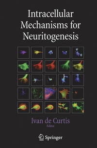 bokomslag Intracellular Mechanisms for Neuritogenesis