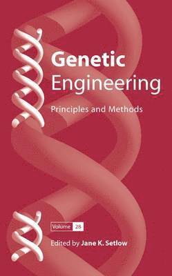 Jane K. Setlow - Genetic Engineering: Principles and Methods 28, Inbunden