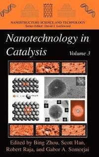 bokomslag Nanotechnology in Catalysis 3
