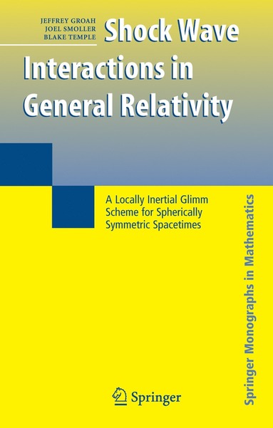 bokomslag Shock Wave Interactions in General Relativity