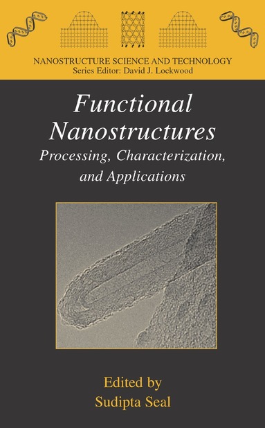 Sudipta Seal - Functional Nanostructures, Inbunden