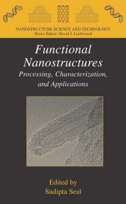 bokomslag Functional Nanostructures