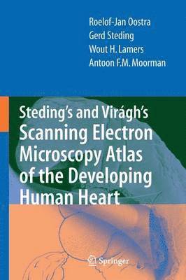 bokomslag Steding's and Viragh's Scanning Electron Microscopy Atlas of the Developing Human Heart