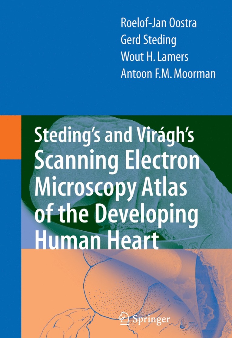R.J. Oostra, Gerd Steding, Wout H. Lamers, Antoon F.M. Moorman, R. J. Oostra, Roelof-Jan Oostra, R J Oostra, Wout H Lamers, Antoon F M Moorman - Steding's and Virágh's Scanning Electron Microscopy Atlas of the Developing Human Heart, Inbunden