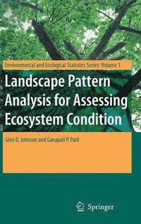 bokomslag Landscape Pattern Analysis for Assessing Ecosystem Condition