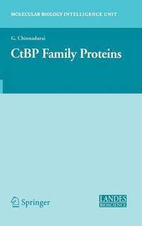 bokomslag CtBP Family Proteins