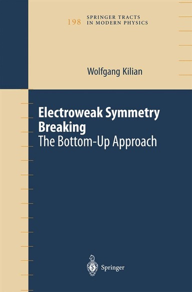 Wolfgang Kilian - Electroweak Symmetry Breaking, Inbunden