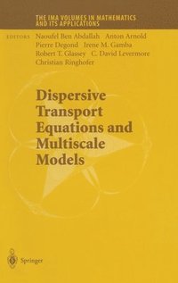 bokomslag Dispersive Transport Equations and Multiscale Models