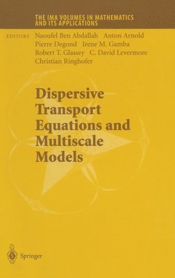Dispersive Transport Equations and Multiscale Models 1