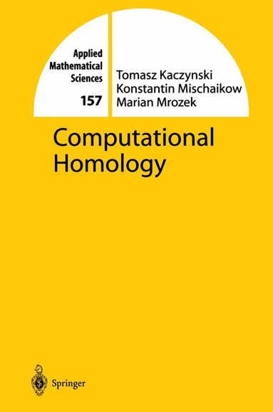 Tomasz Kaczynski, Konstantin Mischaikow, Marian Mrozek - Computational Homology, Inbunden