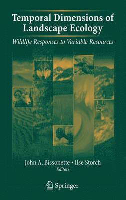 John A. Bissonette, Ilse Storch, John A Bissonette - Temporal Dimensions of Landscape Ecology, Inbunden