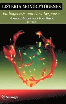 Howard Goldfine, Hao Shen - Listeria monocytogenes: Pathogenesis and Host Response, Inbunden