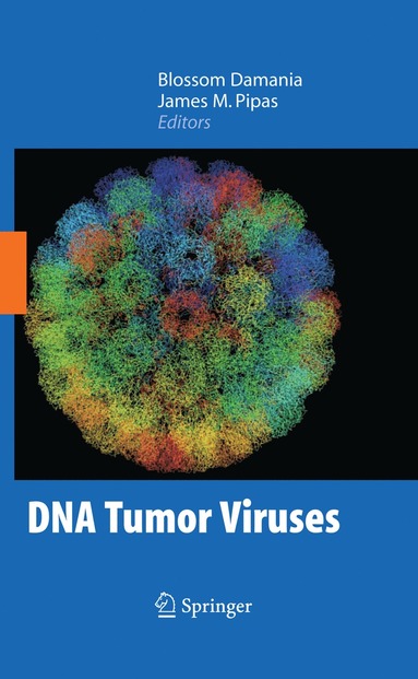 bokomslag DNA Tumor Viruses