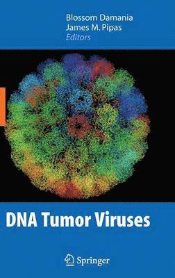 Blossom Damania, James Pipas - DNA Tumor Viruses, Inbunden