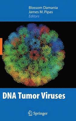 DNA Tumor Viruses 1