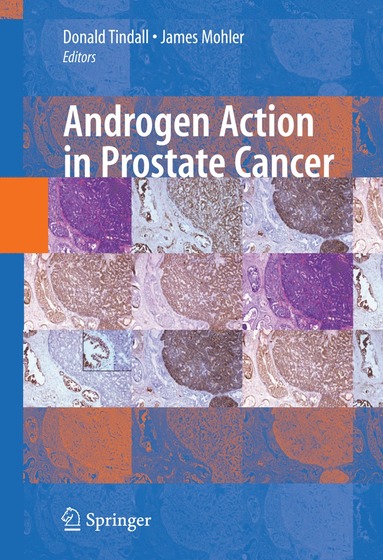 bokomslag Androgen Action in Prostate Cancer