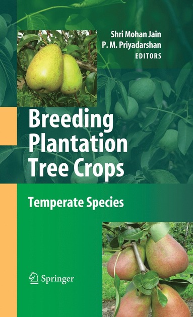 bokomslag Breeding Plantation Tree Crops: Temperate Species