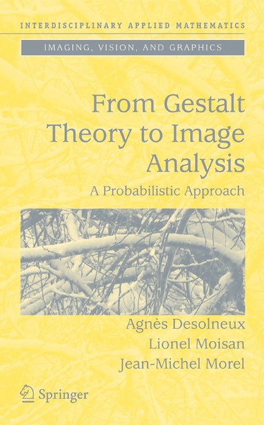 Agnès Desolneux, Lionel Moisan, Jean-Michel Morel - From Gestalt Theory to Image Analysis, Inbunden