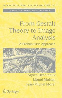 bokomslag From Gestalt Theory to Image Analysis