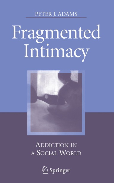 bokomslag Fragmented Intimacy