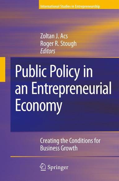 bokomslag Public Policy in an Entrepreneurial Economy