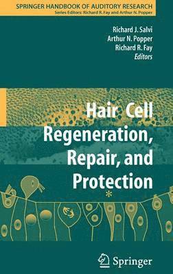 bokomslag Hair Cell Regeneration, Repair, and Protection