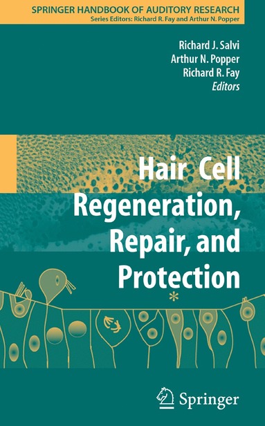 bokomslag Hair Cell Regeneration, Repair, and Protection