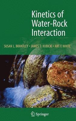 bokomslag Kinetics of Water-Rock Interaction